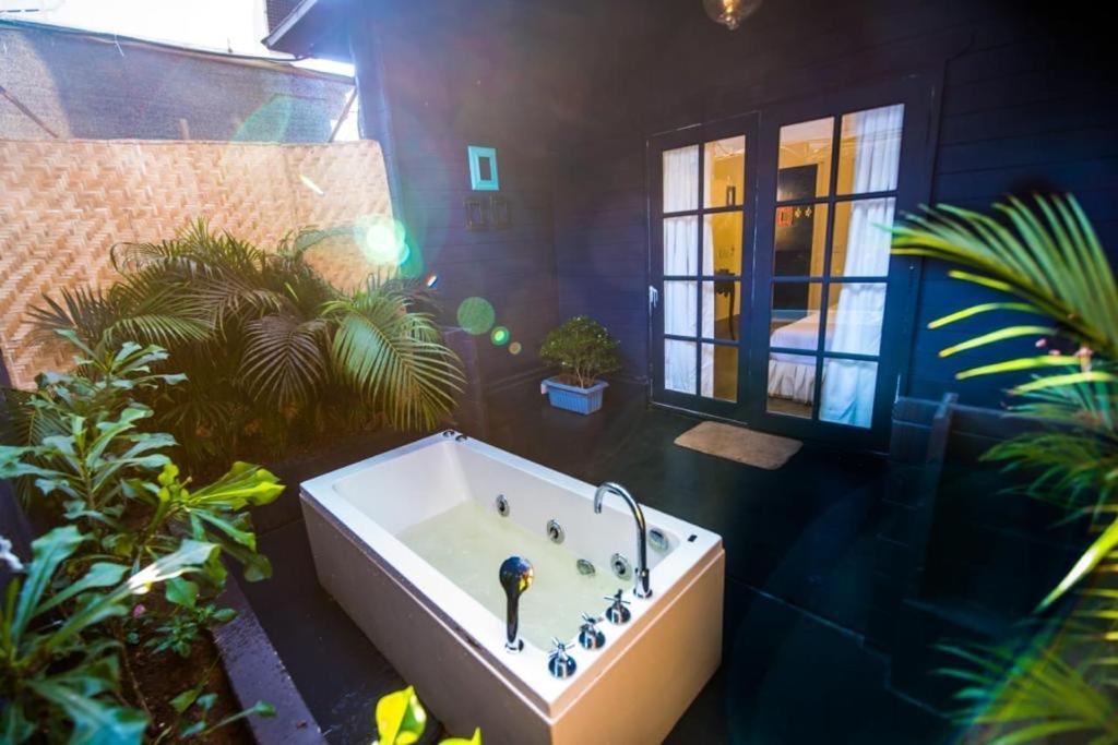 ואגאטור Casa Playa Comforts מראה חיצוני תמונה
